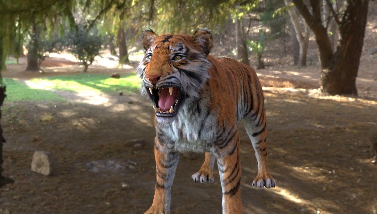 Making of Tiger Scene Breakdown